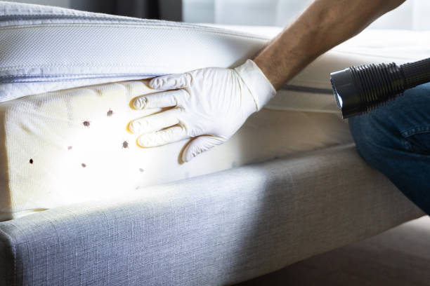 Best Pest Removal Services  in Fort Myers, FL