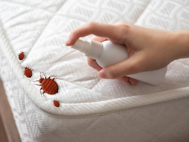Best Pest Control Near Me  in Fort Myers, FL
