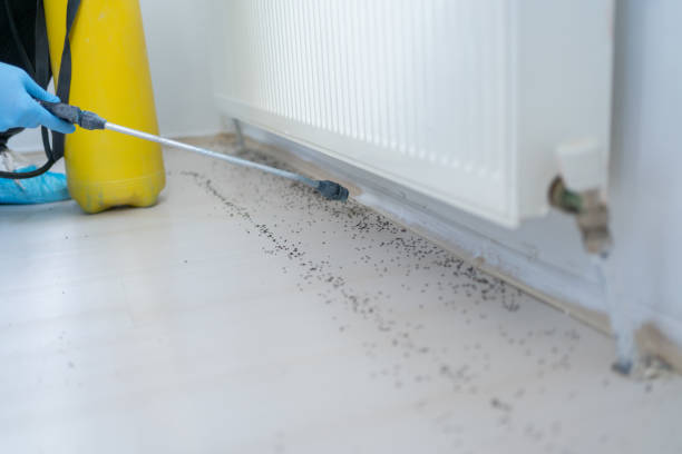 Best Pest Removal Services  in Fort Myers, FL
