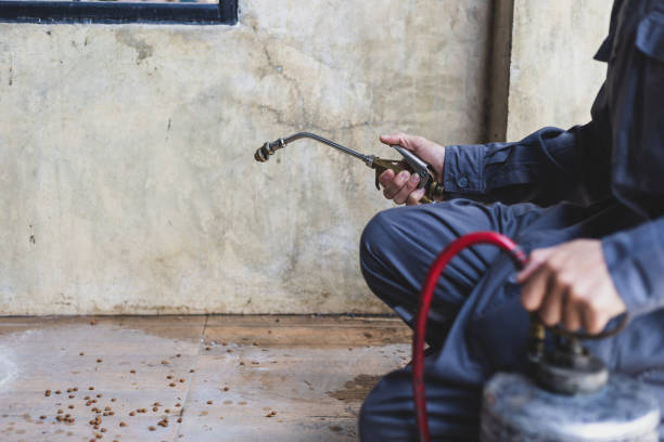 Best Pest Inspection Near Me  in Fort Myers, FL