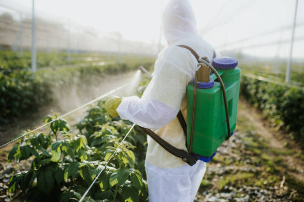 Best Ant Control Services  in Fort Myers, FL